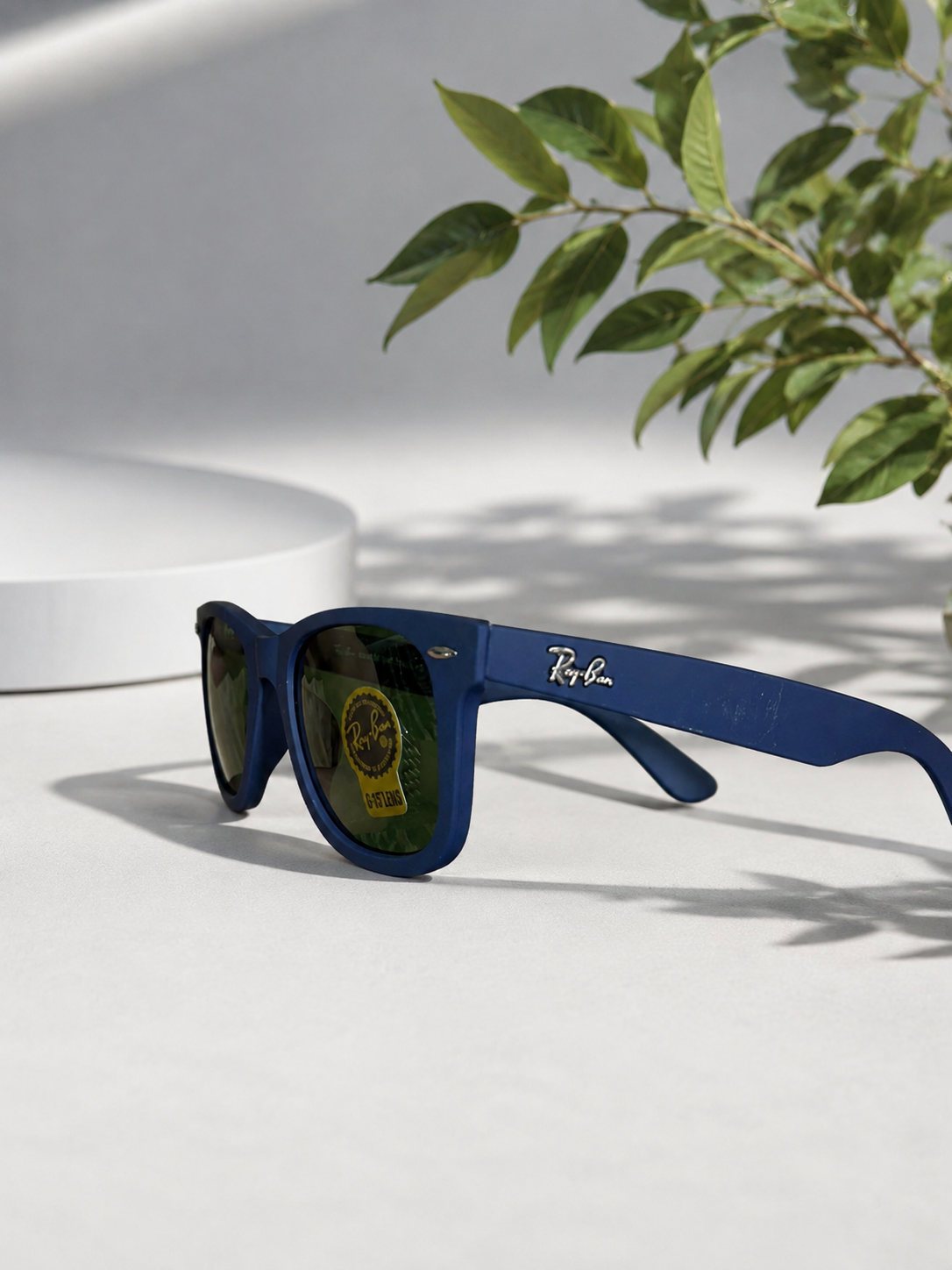 Ray Ban Wayfarer